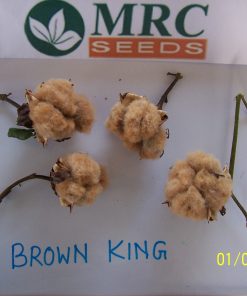 brown king cotton